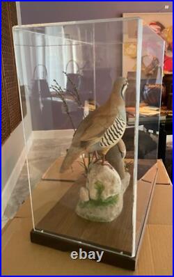 Signed Vintage Perry B PB Holley Hand Carved Wood Pair of Chukar Birds 1979