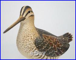 Snipe Bird Wood Carving By Frank Finney