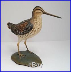 Snipe Bird Wood Carving By Frank Finney