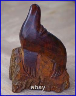 VINTAGE Hand Carved Ironwood Sea Lion by Seri Sonora MASSIVE 10H MAGNIFICENT