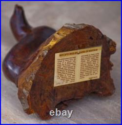 VINTAGE Hand Carved Ironwood Sea Lion by Seri Sonora MASSIVE 10H MAGNIFICENT