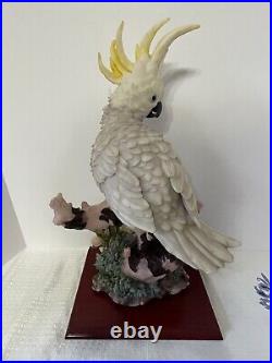 VTG Amazing Detailed Montefiori Heavy Sculpture of Large Cockatoo on Wood base