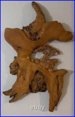 VTG Burl Wood Carved Wall Art Tree Mtns By The Tree Wiz Gary Burns Rare Find