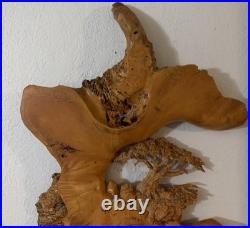 VTG Burl Wood Carved Wall Art Tree Mtns By The Tree Wiz Gary Burns Rare Find