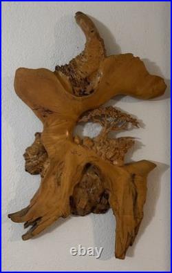 VTG Burl Wood Carved Wall Art Tree Mtns By The Tree Wiz Gary Burns Rare Find