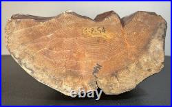 Vintage 1954 German Oberammergau Wood Carving Hunter Statue Valentin Riff VR