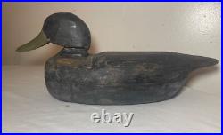 Vintage 69 Tuckerton carved wood Folk Art hollow body black duck decoy sculpture