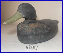 Vintage 69 Tuckerton carved wood Folk Art hollow body black duck decoy sculpture