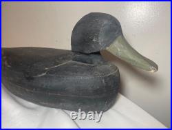 Vintage 69 Tuckerton carved wood Folk Art hollow body black duck decoy sculpture