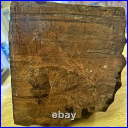 Vintage African Hand Carved Wood Sculpture 13 Village Scene Donkey Palm Tree