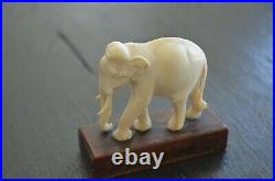 Vintage Asian India Carved Elephant Art Figural Bovine Bone Beautiful