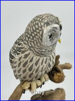 Vintage Barred Owl Miniature Bird Carving by Helen Lay Strong 1977