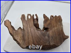 Vintage Black Forest Wood Carving Of Dog And Litter Puppies Feeding