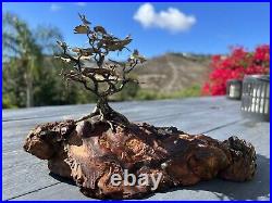 Vintage Brass Bronze Bonsai Tree Sculpture On Burl Wood Base 1970's Signed