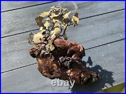 Vintage Brass Bronze Bonsai Tree Sculpture On Burl Wood Base 1970's Signed