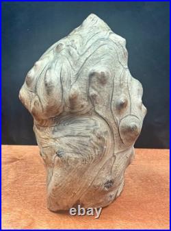 Vintage Burl Wood Natural Sculpture Home Decor 10