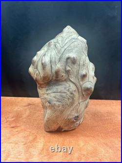 Vintage Burl Wood Natural Sculpture Home Decor 10
