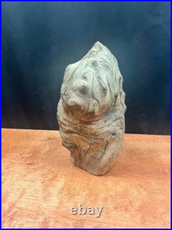 Vintage Burl Wood Natural Sculpture Home Decor 10