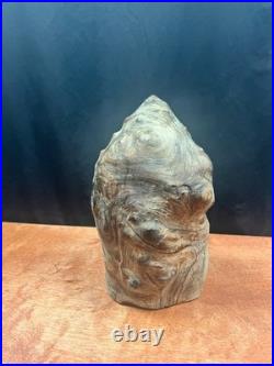 Vintage Burl Wood Natural Sculpture Home Decor 10