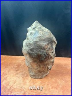Vintage Burl Wood Natural Sculpture Home Decor 10