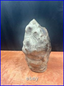 Vintage Burl Wood Natural Sculpture Home Decor 10
