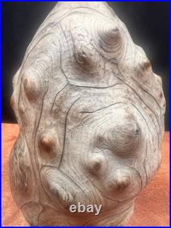 Vintage Burl Wood Natural Sculpture Home Decor 10