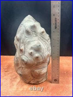 Vintage Burl Wood Natural Sculpture Home Decor 10