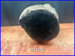 Vintage Burl Wood Natural Sculpture Home Decor 10