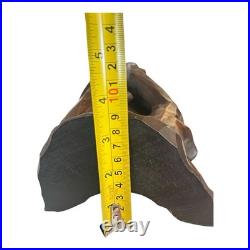 Vintage CF Signed Black Forest Hand Carved Wood Castle Sculpture Wall Plaque 22