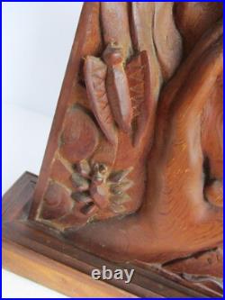 Vintage Carved Wood Panel Hands & Box of Insects Dragonfly Moth Teak Sculpture