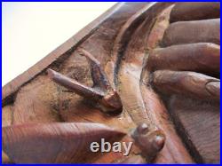 Vintage Carved Wood Panel Hands & Box of Insects Dragonfly Moth Teak Sculpture