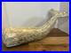Vintage Carved Wood Sperm Whale Sculpture Figurine Carving 17 Folk Art