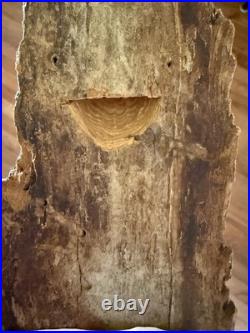 Vintage Carving Sculpture Native American Hand Carved Wood Spirit Signed