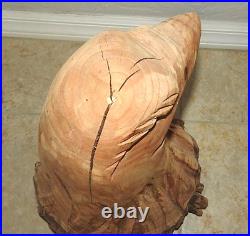 Vintage Chainsaw Artist Carved Eagle Head Sculpture Solid Wood Log withLIVE Edge