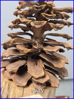 Vintage Charles Morgan Baxter TN Carved Wood Humming Bird Sculpture Folk Art