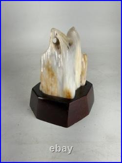Vintage Chinese Highly Polished Fossilized Wood Scholar Stone Viewing Sculpture
