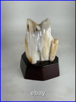 Vintage Chinese Highly Polished Fossilized Wood Scholar Stone Viewing Sculpture