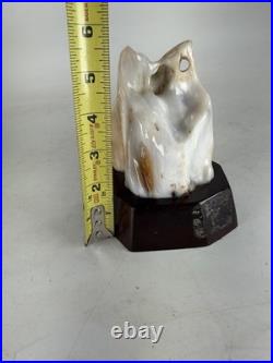 Vintage Chinese Highly Polished Fossilized Wood Scholar Stone Viewing Sculpture