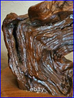 Vintage Driftwood Abstract Lacquer Polished Sculpture Mounted on Solid Wood Base