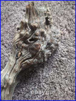 Vintage Folk Art Hand Carved Old Man Face Spirit Tree Driftwood Sculpture 27