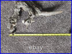 Vintage Folk Art Hand Carved Old Man Face Spirit Tree Driftwood Sculpture 27