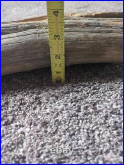 Vintage Folk Art Hand Carved Old Man Face Spirit Tree Driftwood Sculpture 27