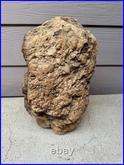 Vintage Hand Carved Burl Wood Face Art Sculpture