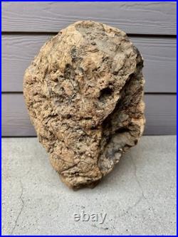 Vintage Hand Carved Burl Wood Face Art Sculpture