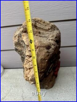 Vintage Hand Carved Burl Wood Face Art Sculpture
