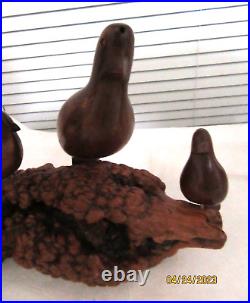 Vintage Hand Carved Burl Wood Root Sculpture Statue Carving With 4 Bird Family