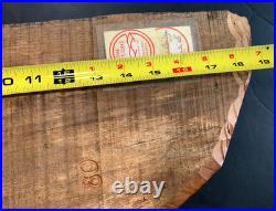 Vintage Hand Carved OAK Wood Man Face WIND Tree Sculpture 18 Hanging Art Signed