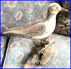 Vintage Hand Carved Painted Wood Gull Bird Seagull Wood SCULPTURE Malcolm Smith