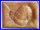 Vintage Hand Carved Wood Sculpture Germany 1950 Bgli Biljh Baby Folk Art