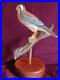 Vintage Handcarved Kestral signed 2004 by Roger A. Wilson well known WI carver